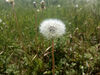 Файл=IMG_20220526_115940_1280x960.jpg
Объём=333КБ
Размеры=1280x960
Дата=Июль 04, 2025 IMG_20220526_115940_1280x960.jpg