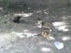DSC00053.JPG